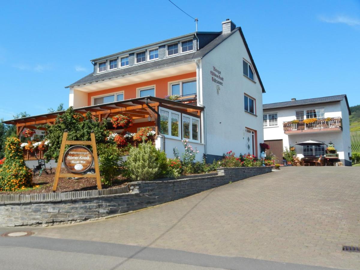 Ferienweinhaus Roemer-Knodt Kröv Exteriér fotografie