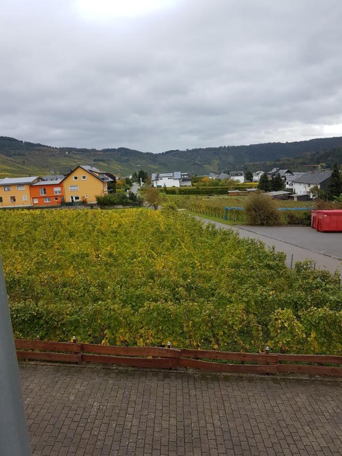 Ferienweinhaus Roemer-Knodt Kröv Exteriér fotografie